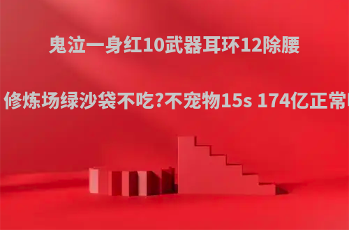 鬼泣一身红10武器耳环12除腰带顶级附魔，修炼场绿沙袋不吃?不宠物15s 174亿正常吗?如何调整?