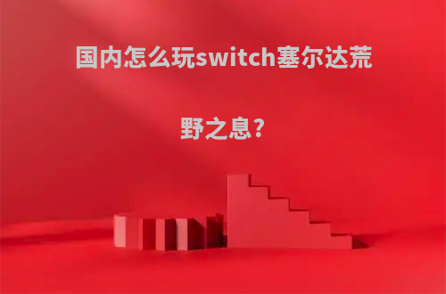 国内怎么玩switch塞尔达荒野之息?