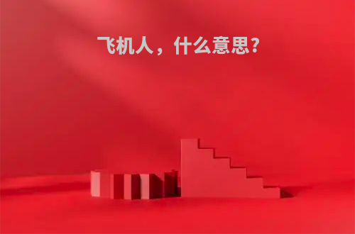 飞机人，什么意思?