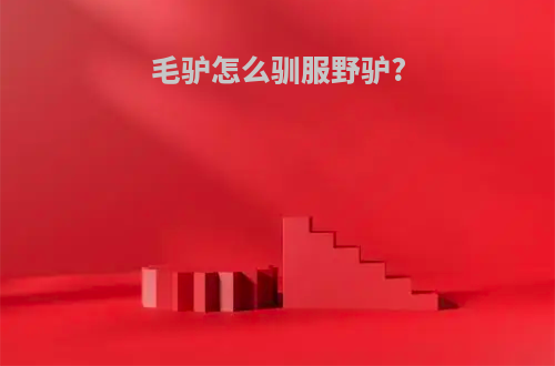 毛驴怎么驯服野驴?