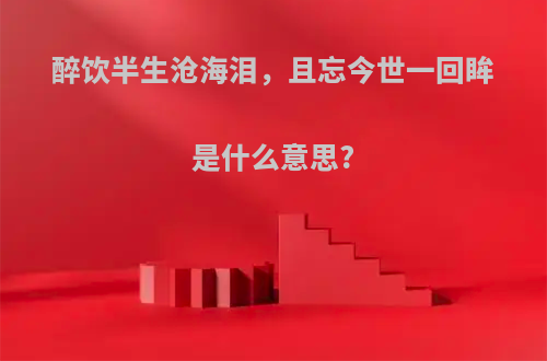 醉饮半生沧海泪，且忘今世一回眸是什么意思?