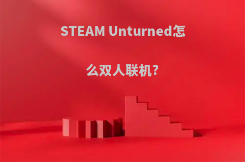 STEAM Unturned怎么双人联机?