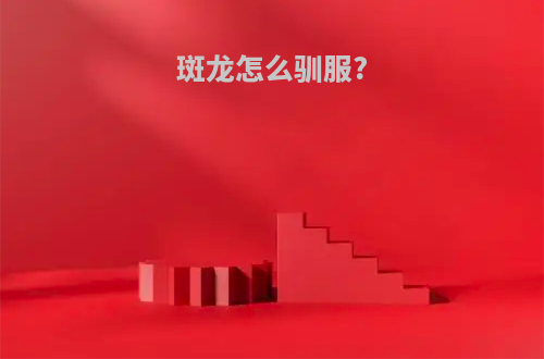 斑龙怎么驯服?