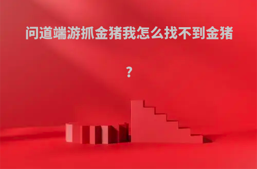 问道端游抓金猪我怎么找不到金猪?
