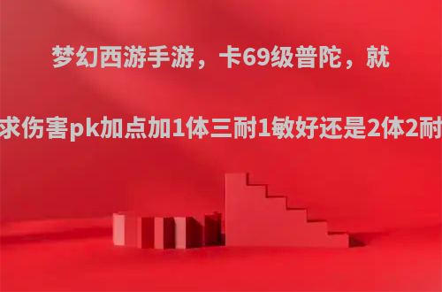梦幻西游手游，卡69级普陀，就奶不要求伤害pk加点加1体三耐1敏好还是2体2耐1敏呢?