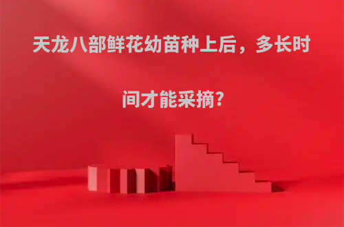 天龙八部鲜花幼苗种上后，多长时间才能采摘?