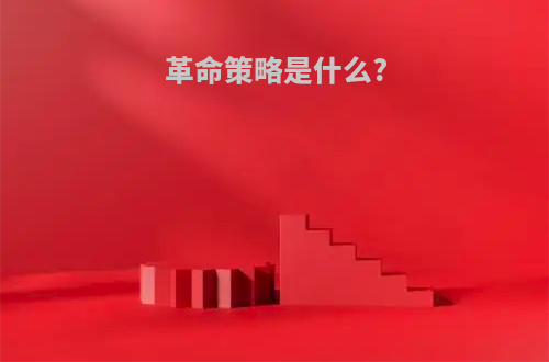 革命策略是什么?