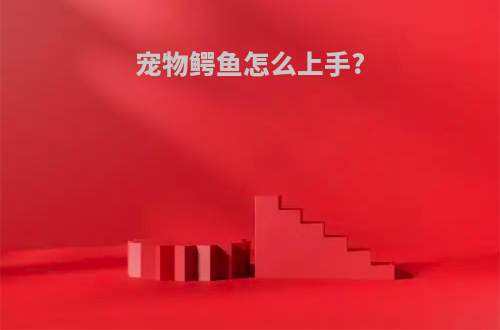 宠物鳄鱼怎么上手?