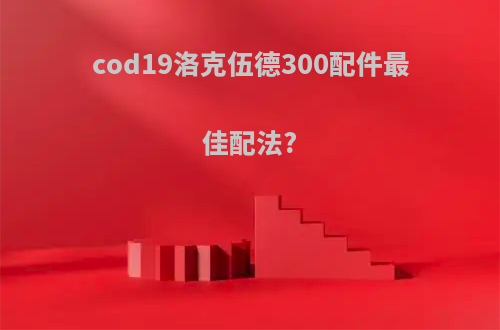 cod19洛克伍德300配件最佳配法?