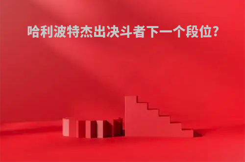 哈利波特杰出决斗者下一个段位?
