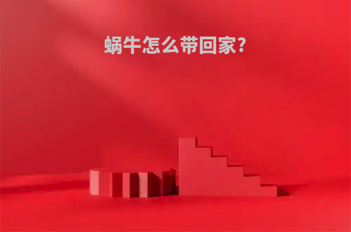 蜗牛怎么带回家?