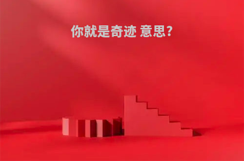 你就是奇迹 意思?