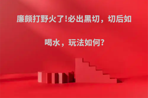 廉颇打野火了!必出黑切，切后如喝水，玩法如何?