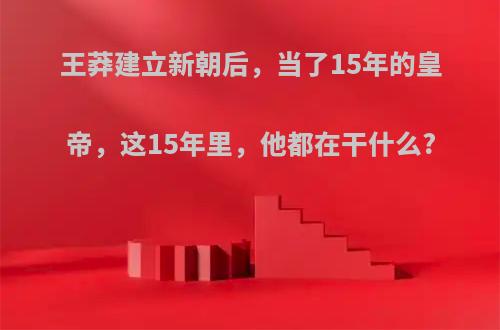王莽建立新朝后，当了15年的皇帝，这15年里，他都在干什么?