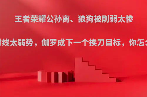 王者荣耀公孙离、狼狗被削弱太惨，对线太弱势，伽罗成下一个挨刀目标，你怎么看?