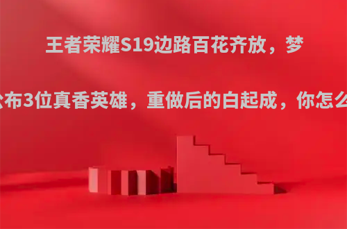 王者荣耀S19边路百花齐放，梦泪公布3位真香英雄，重做后的白起成，你怎么看?