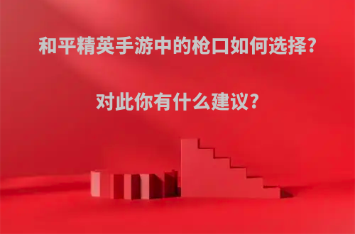 和平精英手游中的枪口如何选择?对此你有什么建议?