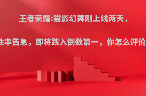 王者荣耀:猫影幻舞刚上线两天，貂蝉胜率告急，即将跌入倒数第一，你怎么评价此事?