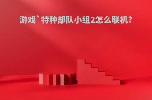 游戏`特种部队小组2怎么联机?