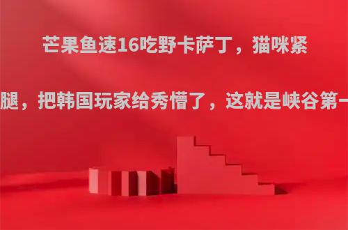 芒果鱼速16吃野卡萨丁，猫咪紧抱大腿，把韩国玩家给秀懵了，这就是峡谷第一吗?