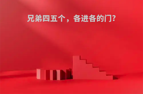 兄弟四五个，各进各的门?